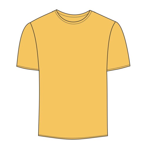 Softstyle® Youth Midweight T-Shirt Thumbnail