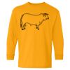  Heavy Cotton™ Long Sleeve T-Shirt (Youth) Thumbnail
