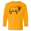  Heavy Cotton™ Long Sleeve T-Shirt (Youth) Thumbnail