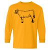  Heavy Cotton™ Long Sleeve T-Shirt (Youth) Thumbnail