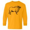  Heavy Cotton™ Long Sleeve T-Shirt (Youth) Thumbnail