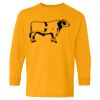 Heavy Cotton™ Long Sleeve T-Shirt (Youth) Thumbnail