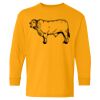  Heavy Cotton™ Long Sleeve T-Shirt (Youth) Thumbnail