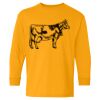  Heavy Cotton™ Long Sleeve T-Shirt (Youth) Thumbnail
