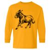  Heavy Cotton™ Long Sleeve T-Shirt (Youth) Thumbnail