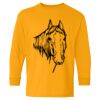  Heavy Cotton™ Long Sleeve T-Shirt (Youth) Thumbnail