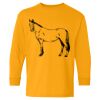 Heavy Cotton™ Long Sleeve T-Shirt (Youth) Thumbnail