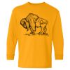  Heavy Cotton™ Long Sleeve T-Shirt (Youth) Thumbnail