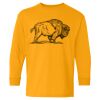  Heavy Cotton™ Long Sleeve T-Shirt (Youth) Thumbnail