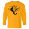  Heavy Cotton™ Long Sleeve T-Shirt (Youth) Thumbnail