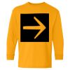  Heavy Cotton™ Long Sleeve T-Shirt (Youth) Thumbnail