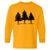  Heavy Cotton™ Long Sleeve T-Shirt (Youth) Thumbnail