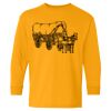  Heavy Cotton™ Long Sleeve T-Shirt (Youth) Thumbnail