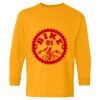  Heavy Cotton™ Long Sleeve T-Shirt (Youth) Thumbnail