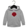 Toddler Sponge Fleece Pullover Hoodie Thumbnail
