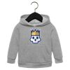 Toddler Sponge Fleece Pullover Hoodie Thumbnail