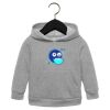Toddler Sponge Fleece Pullover Hoodie Thumbnail