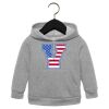 Toddler Sponge Fleece Pullover Hoodie Thumbnail