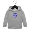Toddler Sponge Fleece Pullover Hoodie Thumbnail
