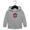 Toddler Sponge Fleece Pullover Hoodie Thumbnail
