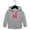 Toddler Sponge Fleece Pullover Hoodie Thumbnail