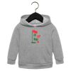 Toddler Sponge Fleece Pullover Hoodie Thumbnail