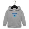 Toddler Sponge Fleece Pullover Hoodie Thumbnail